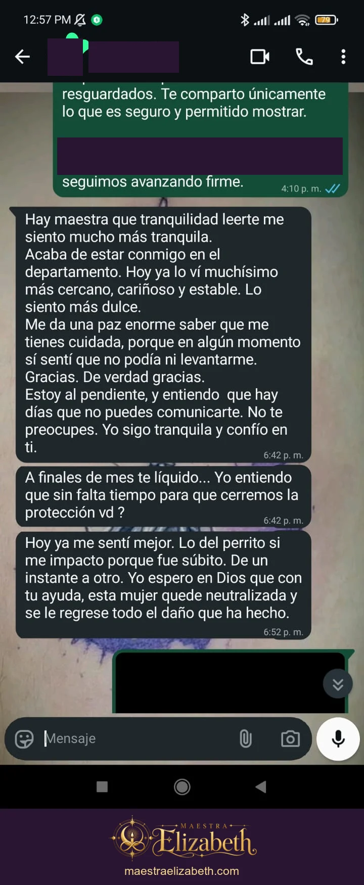 Mensajes de confianza durante una consulta; conversación con datos personales protegidos.